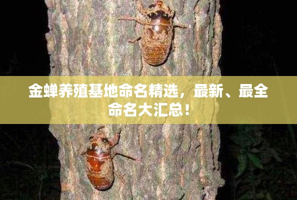 金蝉养殖基地命名精选，最新、最全命名大汇总！
