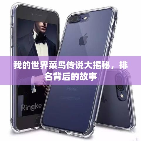 我的世界菜鸟传说大揭秘，排名背后的故事