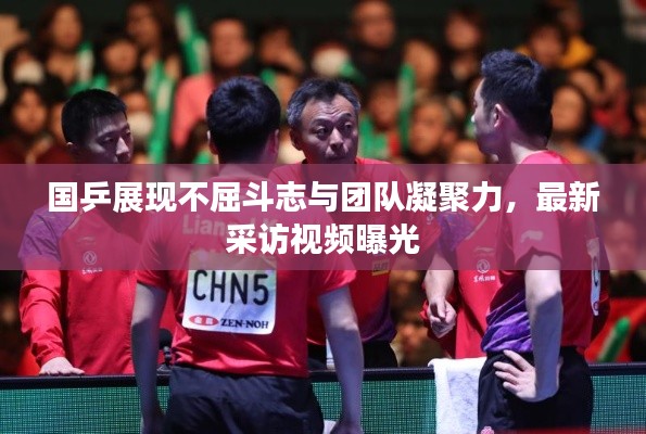 国乒展现不屈斗志与团队凝聚力，最新采访视频曝光