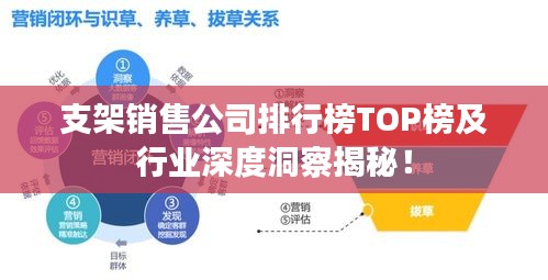 支架销售公司排行榜TOP榜及行业深度洞察揭秘！