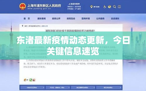 东渚最新疫情动态更新，今日关键信息速览