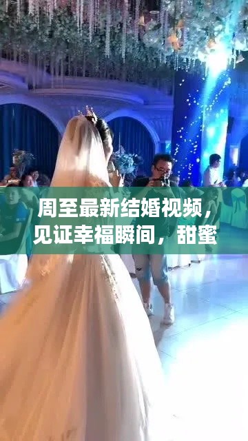 周至最新结婚视频，见证幸福瞬间，甜蜜满溢！