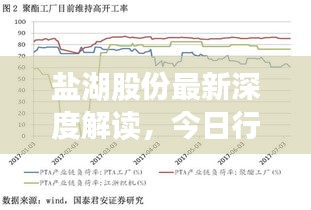 盐湖股份最新深度解读，今日行情分析与展望