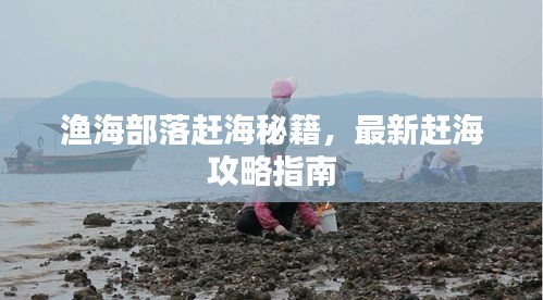 渔海部落赶海秘籍，最新赶海攻略指南