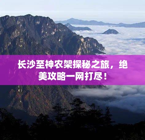 长沙至神农架探秘之旅，绝美攻略一网打尽！