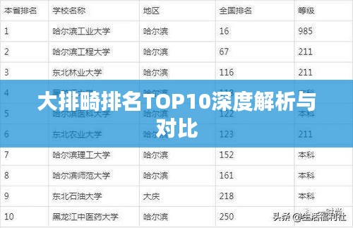 大排畸排名TOP10深度解析与对比