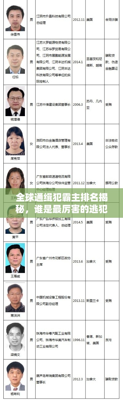 全球通缉犯霸主排名揭秘，谁是最厉害的逃犯？