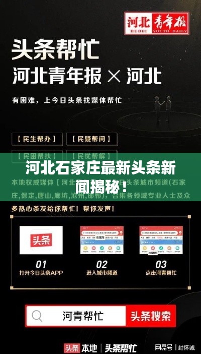 河北石家庄最新头条新闻揭秘！