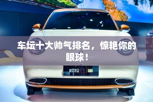 车坛十大帅气排名，惊艳你的眼球！