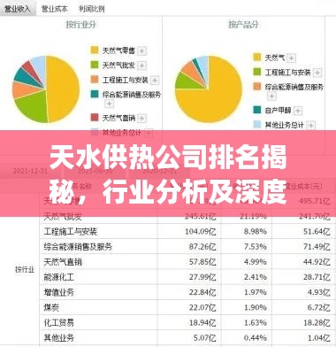 天水供热公司排名揭秘，行业分析及深度解读