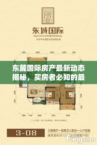 东麓国际房产最新动态揭秘，买房者必知的最新资讯！