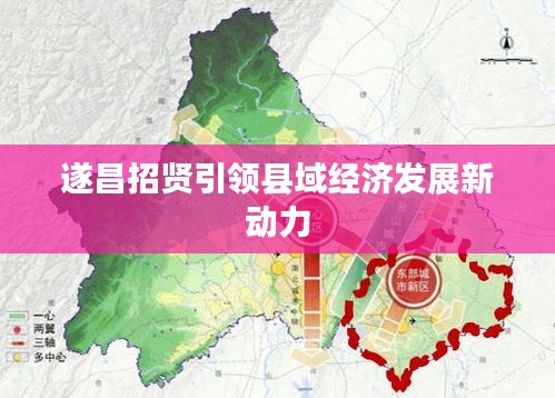 遂昌招贤引领县域经济发展新动力