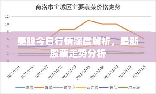 美股今日行情深度解析，最新股票走势分析