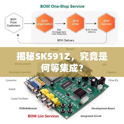 揭秘SK591Z，究竟是何等集成？