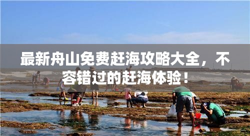 最新舟山免费赶海攻略大全，不容错过的赶海体验！