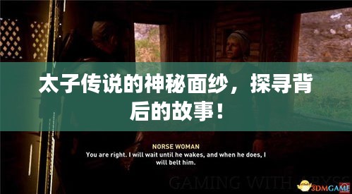 太子传说的神秘面纱，探寻背后的故事！