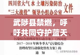 武陟县禁燃，呼吁共同守护蓝天，共建绿色家园的建议书