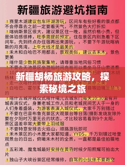 新疆胡杨旅游攻略，探索秘境之旅