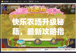 快乐农场升级秘籍，最新攻略指南来啦！