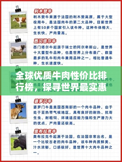 全球优质牛肉性价比排行榜，探寻世界最实惠牛肉之选