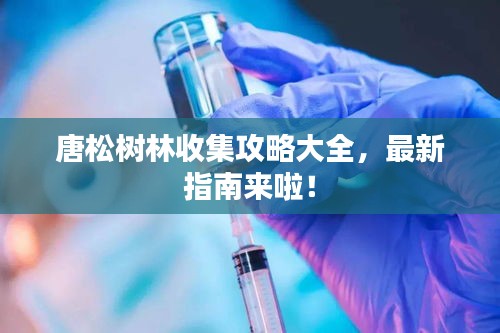 唐松树林收集攻略大全，最新指南来啦！