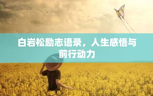 白岩松励志语录，人生感悟与前行动力