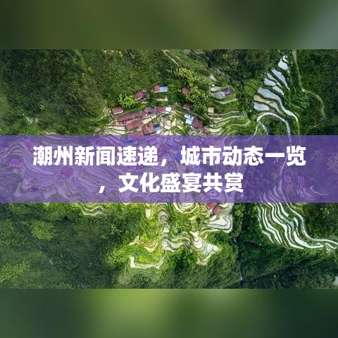 潮州新闻速递，城市动态一览，文化盛宴共赏