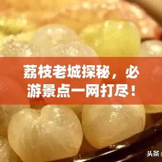 荔枝老城探秘，必游景点一网打尽！