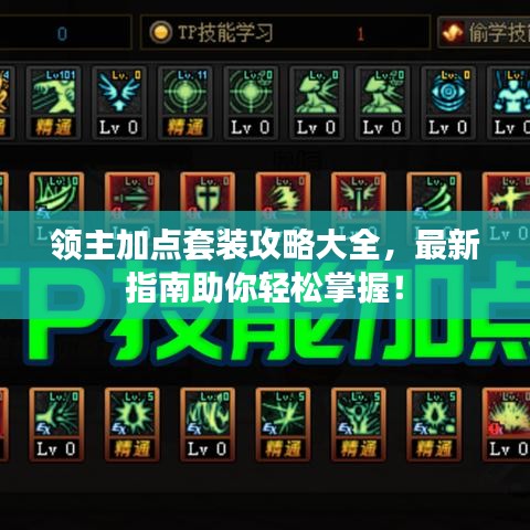 领主加点套装攻略大全，最新指南助你轻松掌握！