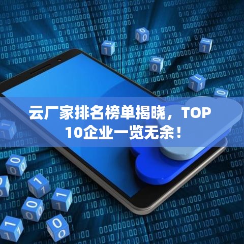 云厂家排名榜单揭晓，TOP 10企业一览无余！