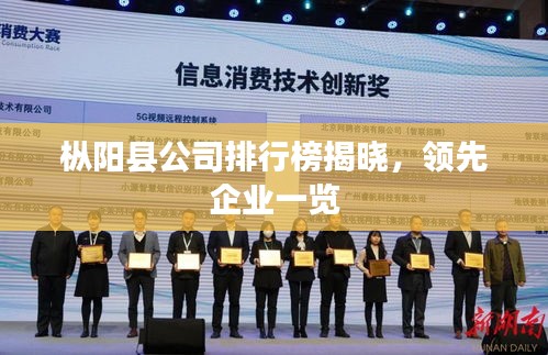 枞阳县公司排行榜揭晓，领先企业一览