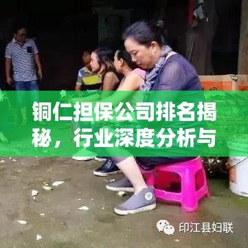铜仁担保公司排名揭秘，行业深度分析与评估！