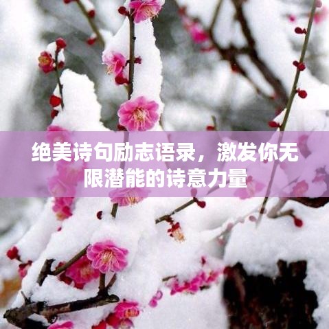 绝美诗句励志语录，激发你无限潜能的诗意力量