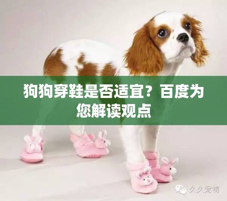狗狗穿鞋是否适宜？百度为您解读观点