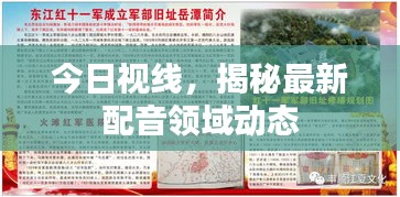 今日视线，揭秘最新配音领域动态