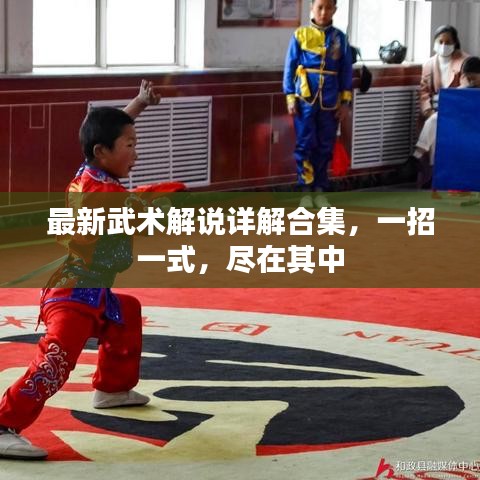 最新武术解说详解合集，一招一式，尽在其中