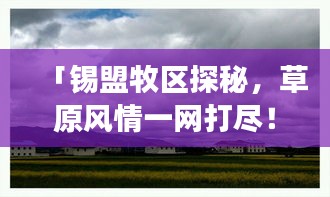 「锡盟牧区探秘，草原风情一网打尽！独家旅游攻略」