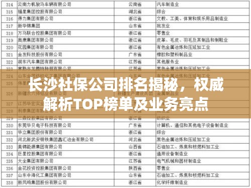 长沙社保公司排名揭秘，权威解析TOP榜单及业务亮点