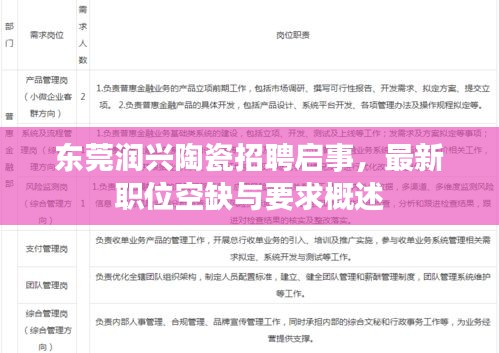 东莞润兴陶瓷招聘启事，最新职位空缺与要求概述