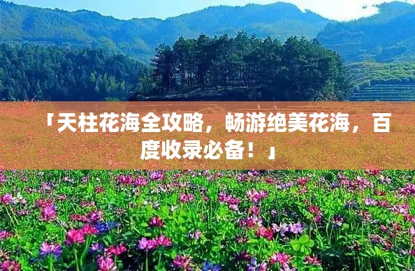 「天柱花海全攻略，畅游绝美花海，百度收录必备！」