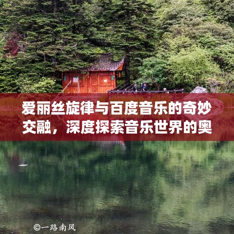 爱丽丝旋律与百度音乐的奇妙交融，深度探索音乐世界的奥秘