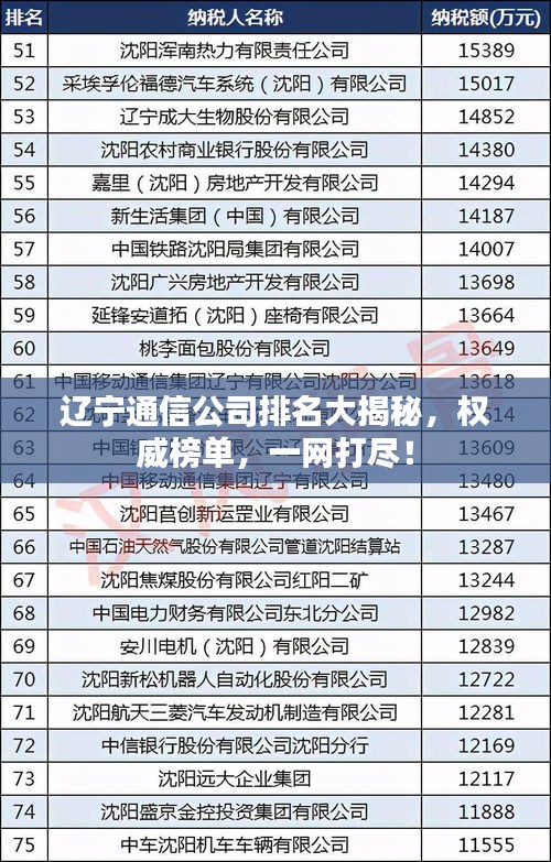 辽宁通信公司排名大揭秘，权威榜单，一网打尽！