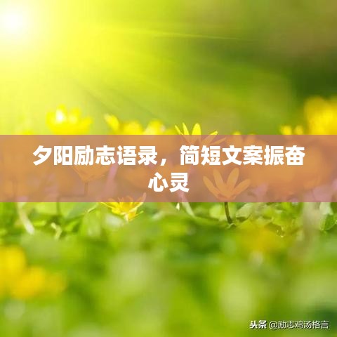夕阳励志语录，简短文案振奋心灵