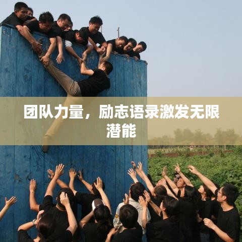 团队力量，励志语录激发无限潜能