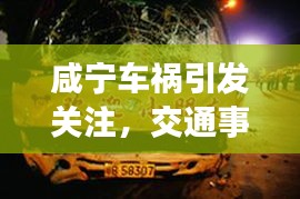 咸宁车祸引发关注，交通事故头条新闻