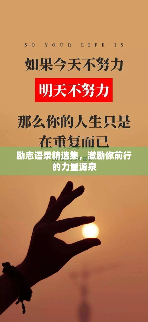 达官贵人