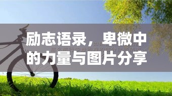 励志语录，卑微中的力量与图片分享，激发无限正能量！