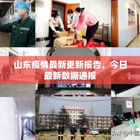 新闻中心 第5页