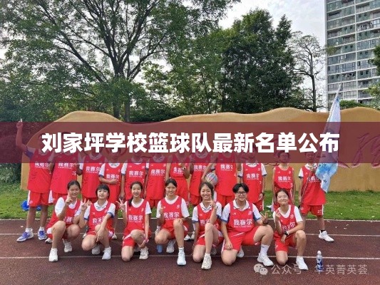 刘家坪学校篮球队最新名单公布
