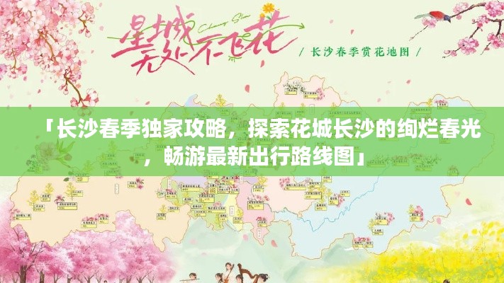 「长沙春季独家攻略，探索花城长沙的绚烂春光，畅游最新出行路线图」
